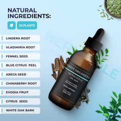 Hernisole daily-use setup encourages a consistent wellness routine.