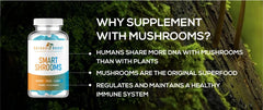 Heroes Boost Smart Shrooms product shot conveys ready-to-take daily gummy routine.