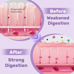 Hesperilyntis marshmallow root component contributes to gut comfort.