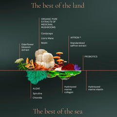 HIFAS DA TERRA skin health mushroom with marine collagen