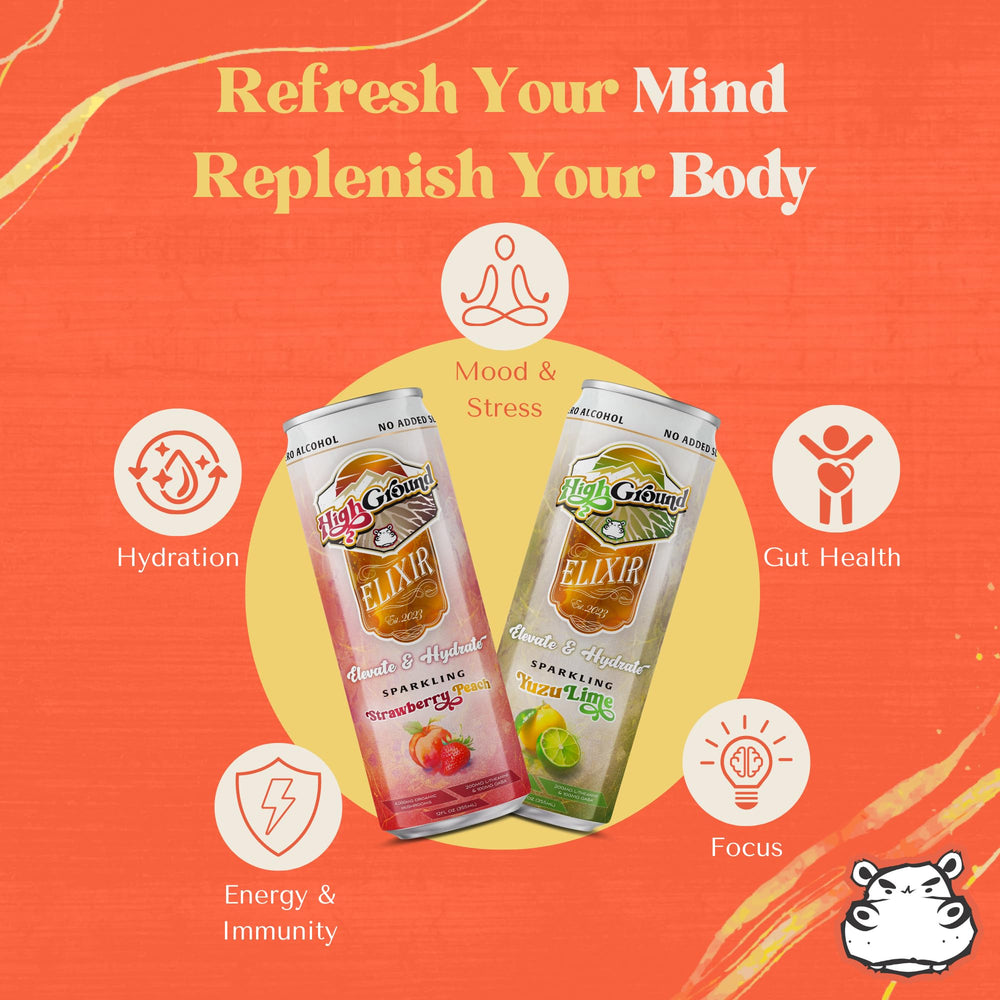 High Ground Elixir Reishi can emphasizes stress-relief adaptogenic blend