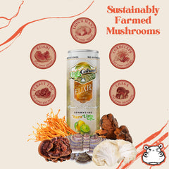 High Ground Elixir label showcases ingredients and caffeine-free refreshment