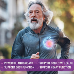 Highland Nutritional Lab CoQ10 health visual showing heart and brain benefits