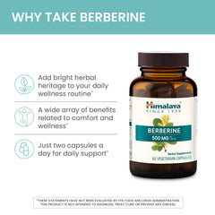 Himalaya Berberine barberry root extract detail highlighting herbal sourcing for digestive comfort.
