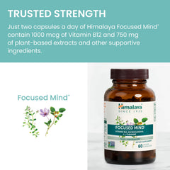 Himalaya Focused Mind packaging shows gluten-free and vegan indicators.