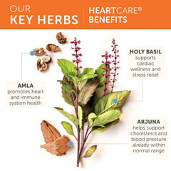 Himalaya HeartCare ingredients in a bowl show Ashwagandha, Amla, Arjuna, Tulsi.