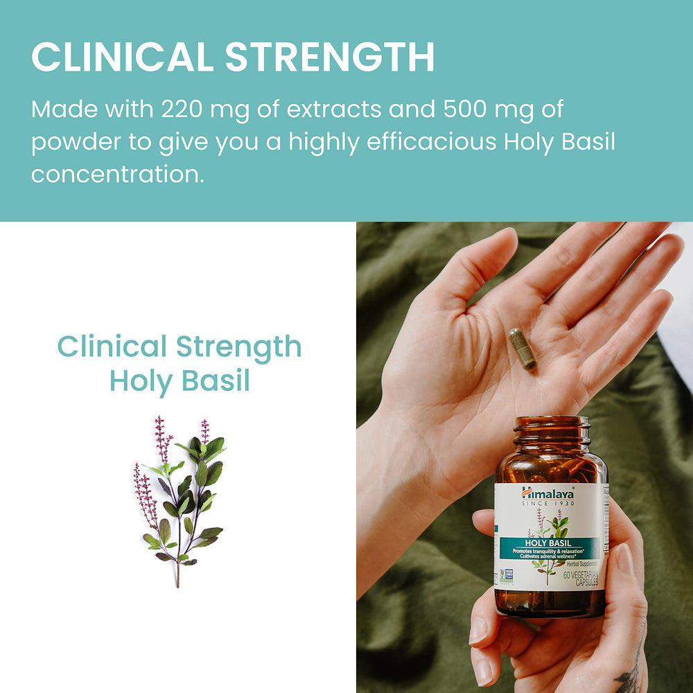 Himalaya Holy Basil vegan gluten-free label for dietary compatibility.
