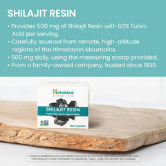 Cup of warm tea with Shilajit Resin for energy moments.