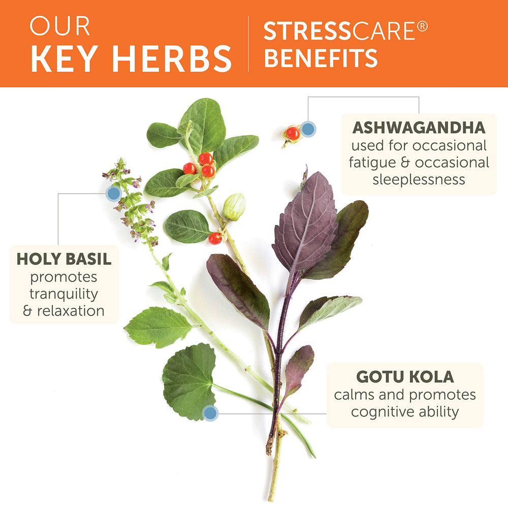 Himalaya StressCare capsules in hand for energy and calm balance.