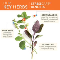 Himalaya StressCare capsules in hand for energy and calm balance.