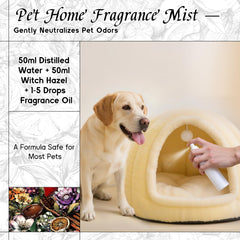 Pet-friendly HIQILI oil used safely with proper dilution in a home space