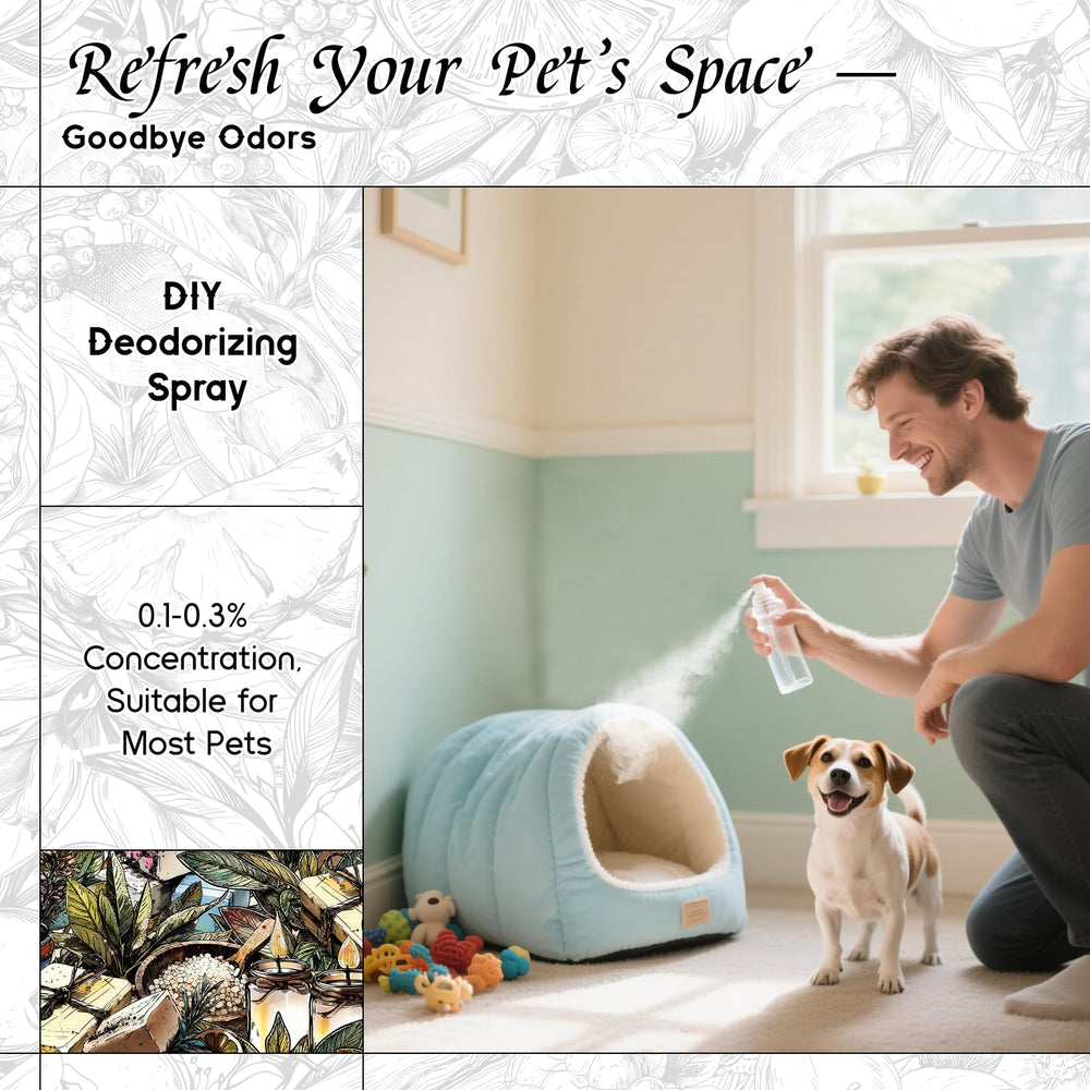 HIQILI Sea Salt Sage pet-friendly formula for calm spaces.