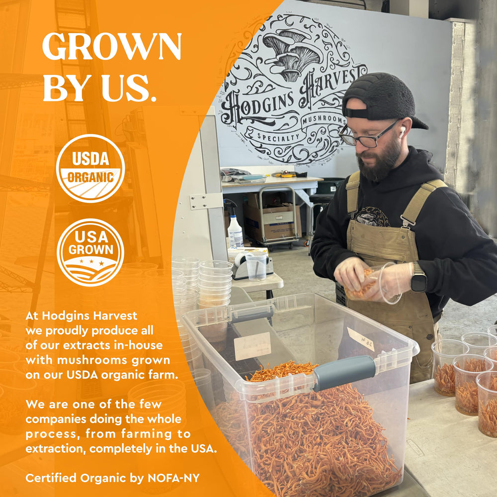 Hodgins Harvest organic cordyceps mushrooms on farm-sourced display