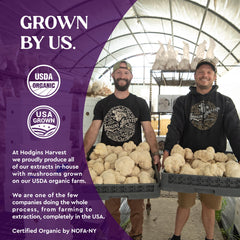 Hodgins Harvest organic turkey tail farm image highlighting farm-grown origin