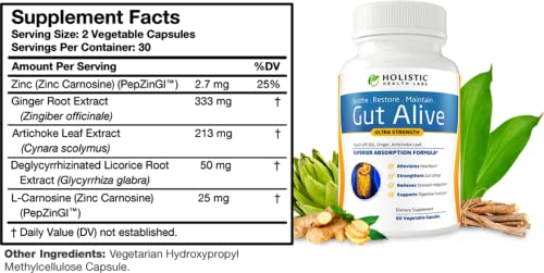 Holistic Health Labs Gut Alive bottle label close-up highlighting zinc carnosine for gut lining support.