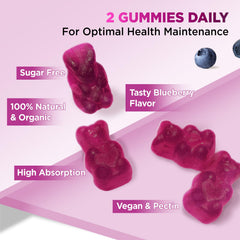 Nighttime routine image showing HOLLEGEND cortisol gummies for calm and sleep readiness.