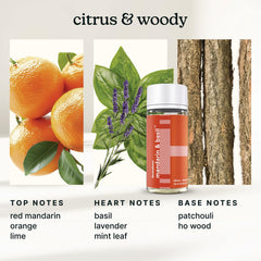 Homedics SereneScent waterless diffusion technology in action inside a diffuser