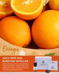 HONÉ Essence diffuser box packaging showcasing travel-friendly design and refill options.