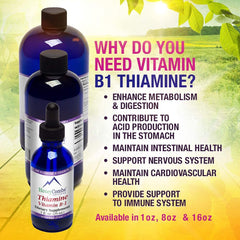 HoneyCombs vegan glycerin tincture bottle emphasizes clean, ingredient-pure wellness.
