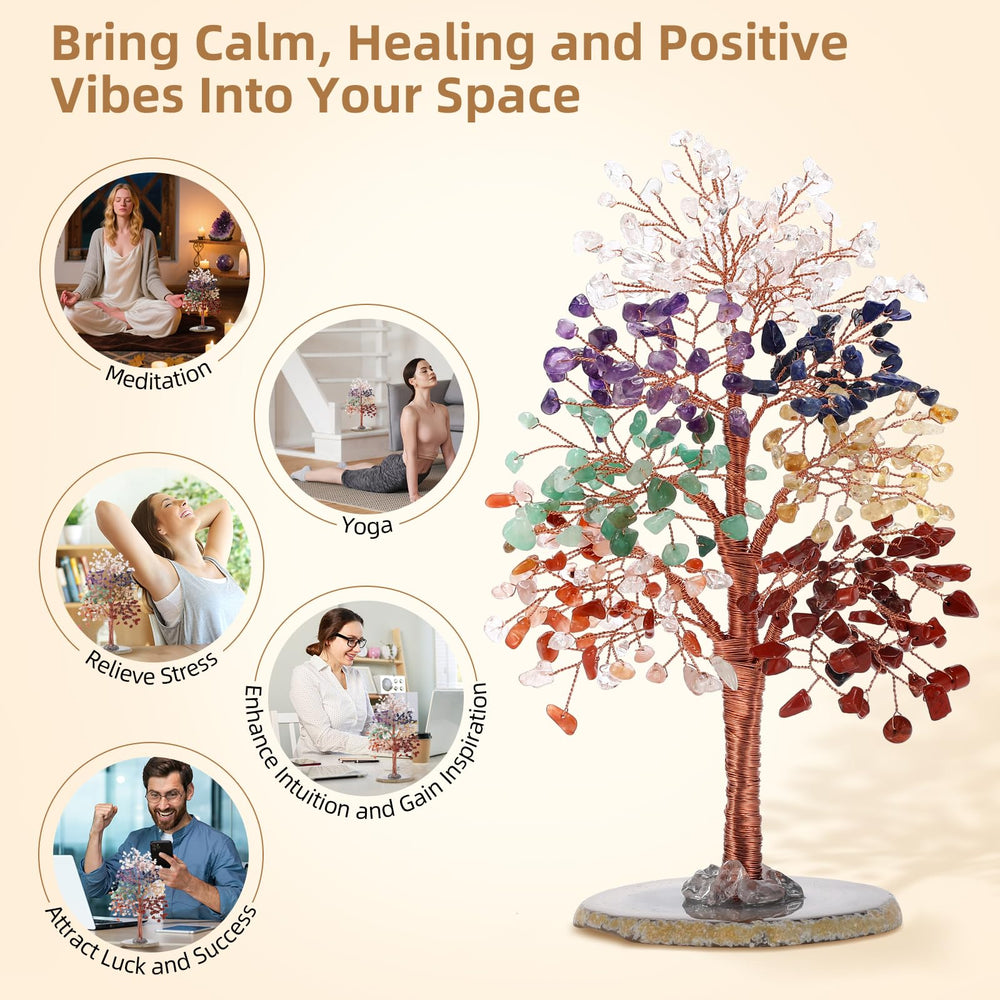 Hopeseed living room bonsai, adds color and positive energy.
