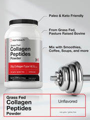 Horbaach Collagen Peptides dissolving in hot tea for smooth texture