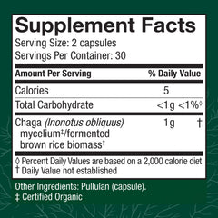 Host Defense Chaga Capsules close-up, suggesting antioxidant activity in a daily routine