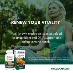 Host Defense Chaga Capsules organic mushroom mycelium close-up, implying quality and provenance for customers