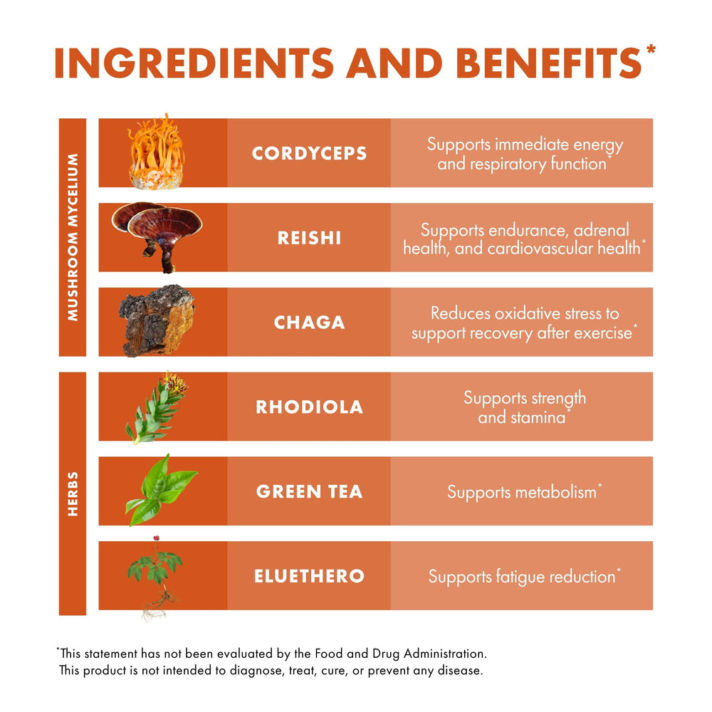 Host Defense MycoBotanicals Energy Capsules mushroom blend with Reishi and Chaga