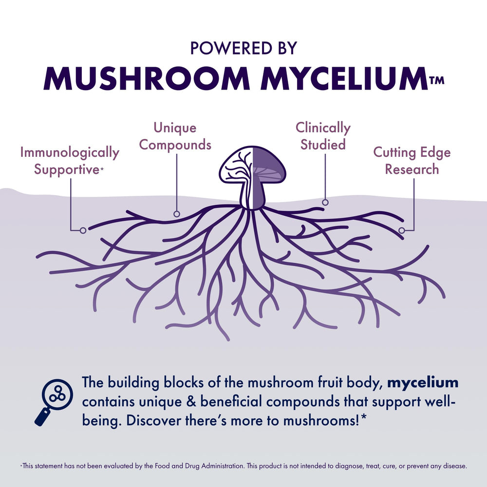 Host Defense Lion's Mane capsules in hand for everyday cognitive support