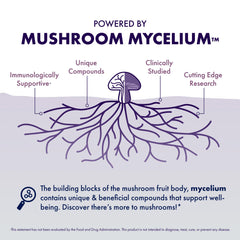 Host Defense Lion's Mane capsules in hand for everyday cognitive support