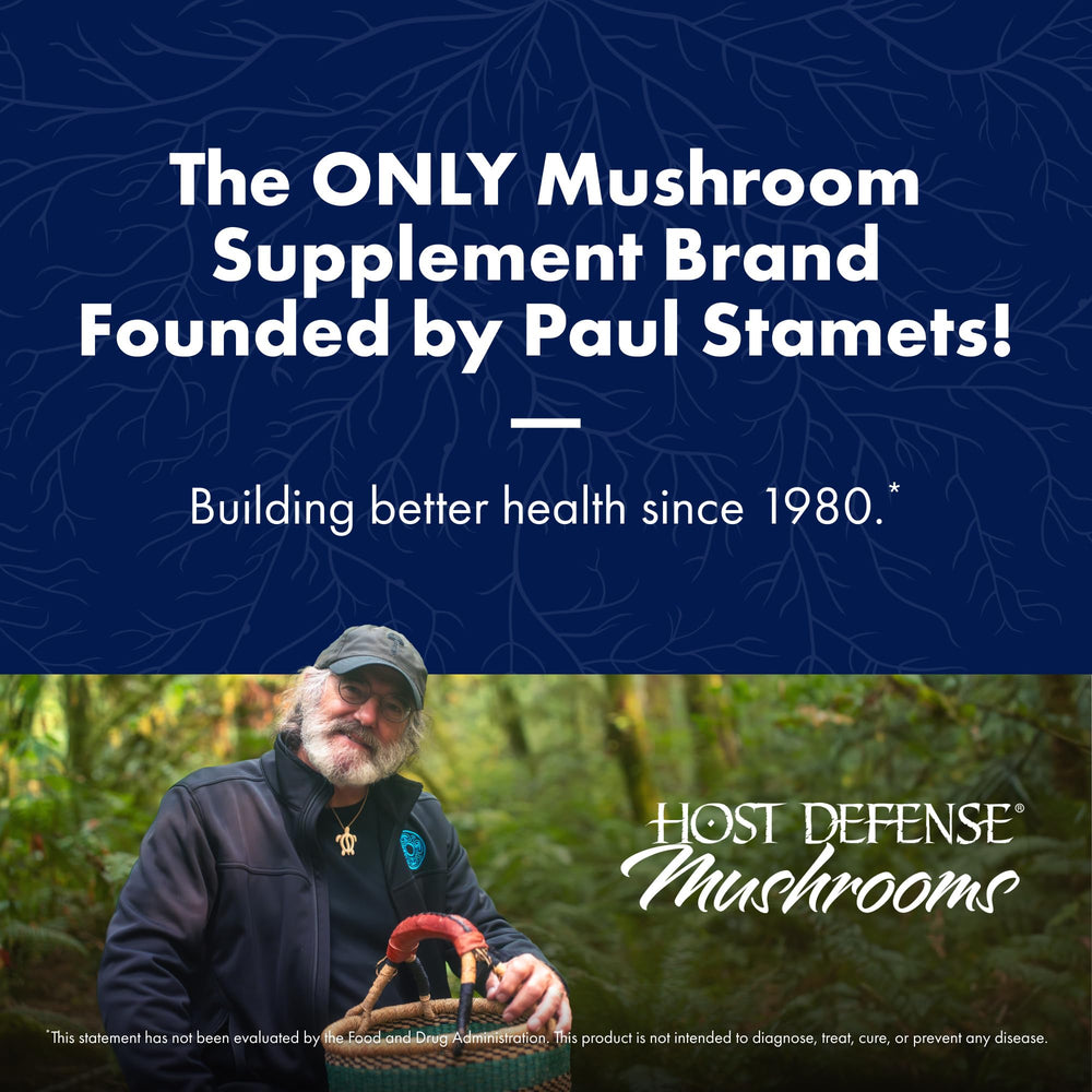 Host Defense Lion's Mane mycelium close-up showing natural fibers for cognitive wellness