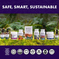 Host Defense Stamets7 maitake and royal sun blazei visuals for immune balance.