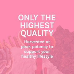 Non-GMO production shown for Host Defense Turkey Tail Extract with quality assurance.