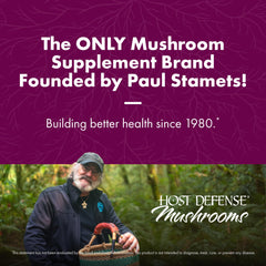 Host Defense Turkey Tail powder measuring spoon on kitchen surface