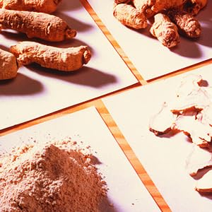 Hsu's American ginseng roots showcasing naturally varied harvest shapes.