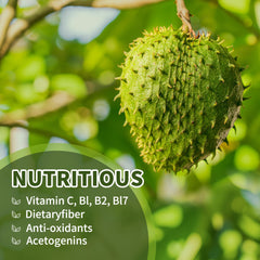 Hudetex soursop graviola leaf extract close-up highlighting natural ingredients.