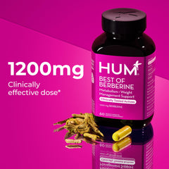Hum berberine with BioPerine for enhanced absorption shown on packaging.