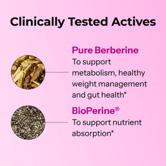 Hum berberine gut balance illustration emphasizing microbial harmony.