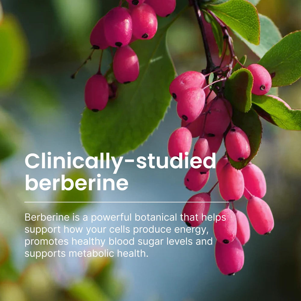 Humann SuperBerine olive fruit extract shown for antioxidant support
