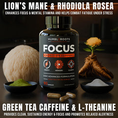 Humbleroots Performance Focus capsules closeup showing Lion's Mane and caffeine pairing for sustained alertness.