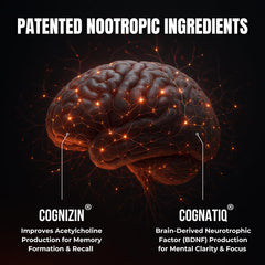 Humbleroots Performance ingredients visual shows Lion’s Mane, Bacopa, Turmeric for balanced cognition