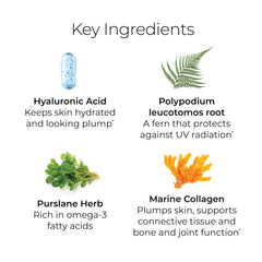 Hush & Hush ingredients box highlights green tea and polypodium leucotomos for antioxidant support.