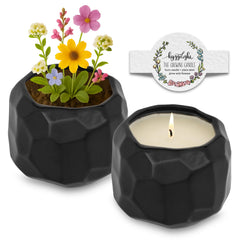 Hyggelight Emma growing candle in a lemongrass ceramic pot offers warm aroma.