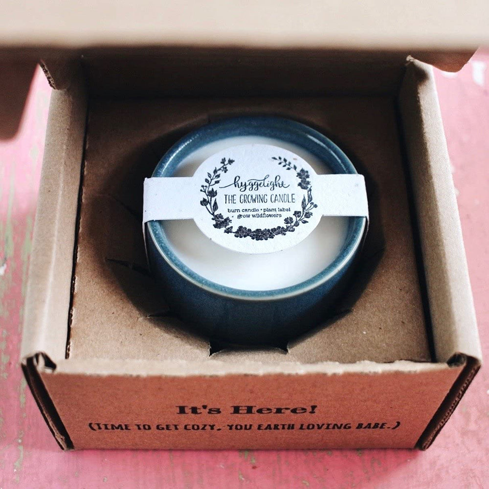 Hyggelight Willow 8.5oz pot offers lasting fragrance during downtime.