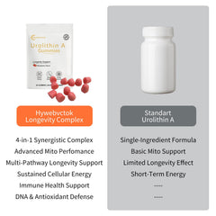Hywebvctok Urolithin A ingredients with NAD+ and vitamins C and E for energy metabolism