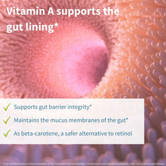Igennus Probiotics Aquamin prebiotic image highlighting gut-friendly carrier