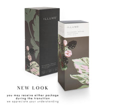 Illume Blackberry Absinthe reeds rest in diffuser, illustrating steady scent dispersion.