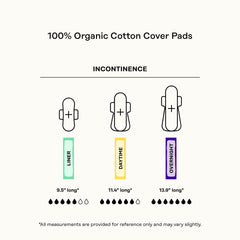 The Honey Pot Company 80ct Herbal Panty Liners – Organic Incontinence with Wings & Essential Oils