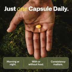 IMMY supplement container conveys convenient daily routine for gut-brain harmony.