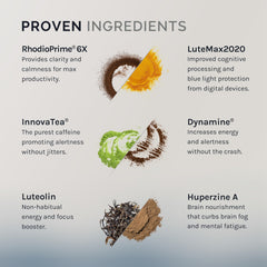 InfiniWell Focus capsule with LuteMax2020 emphasizes antioxidant carotenoids for brain pathways.